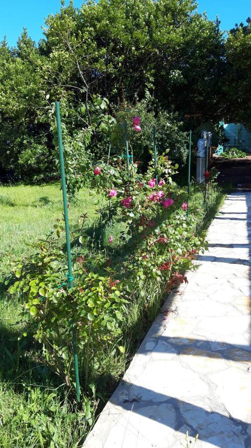 Villa Rosemary Park Zadar
