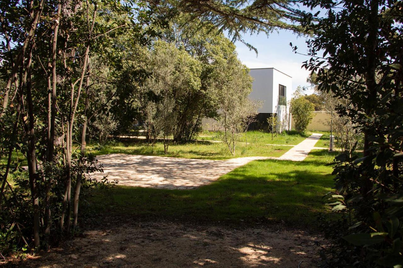 Rosemary Park *
